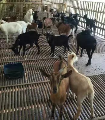 牧云溪谷看房,牧云溪谷看房免费接送