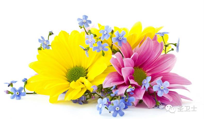 肾衰竭的人皮肤会怎样,肾衰竭皮肤脱皮怎么回事