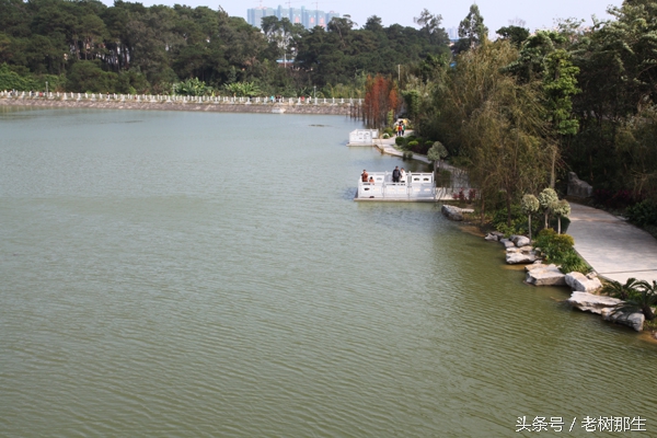 广西南宁狮山公园图,南宁狮山公园景观改造