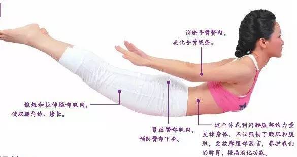 葛优躺的正确姿势,舒适的葛优躺