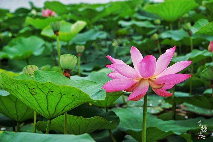 在我国东北,隐藏了一处俄罗斯早已消逝的建筑群!