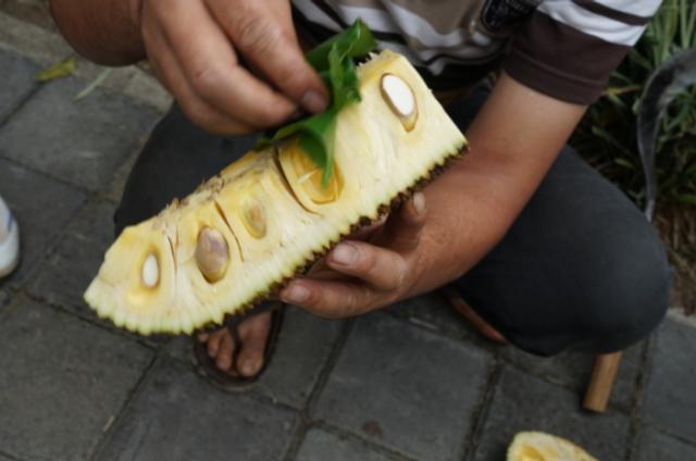 268元可以在巴厘岛landih买多少真正的猫屎咖啡豆？