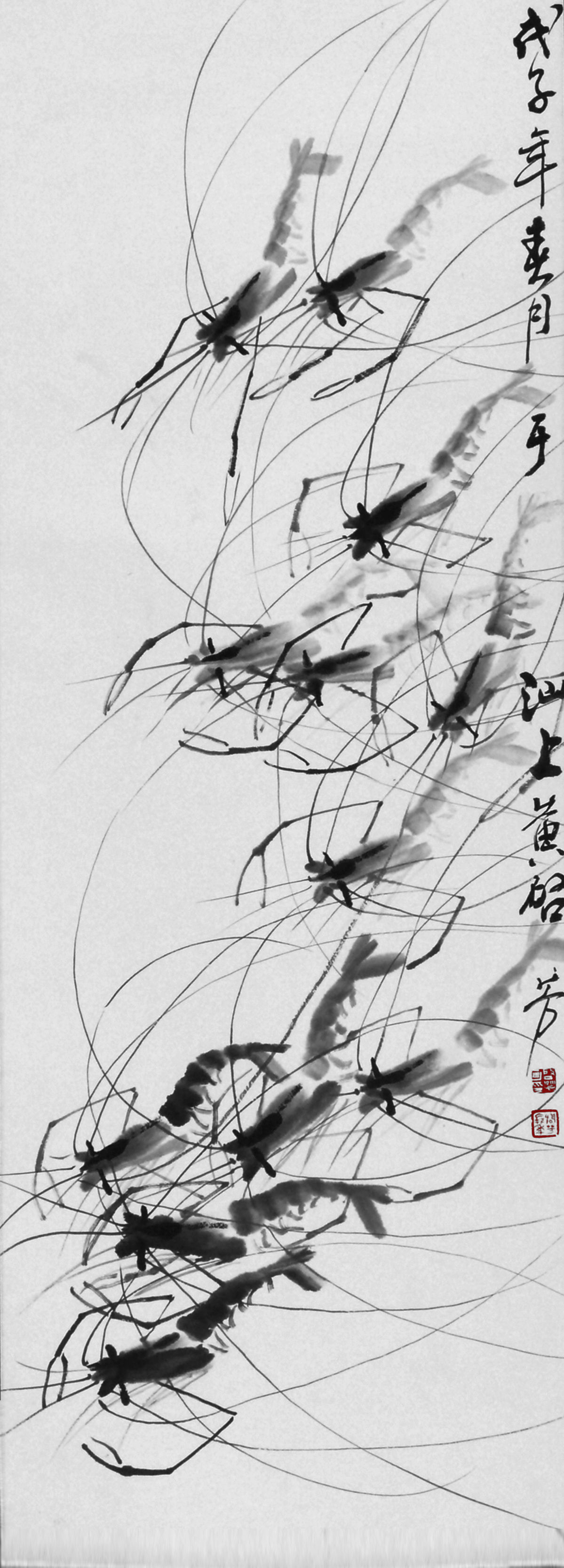 齐白石墨虾欣赏视频,齐白石墨虾完整图