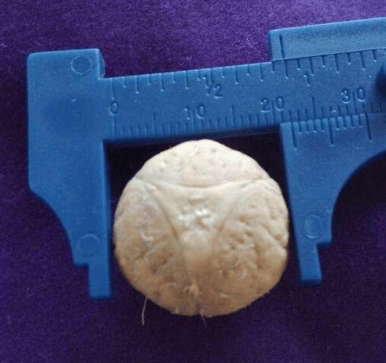 凤眼菩提子手串直播,青皮凤眼菩提直播