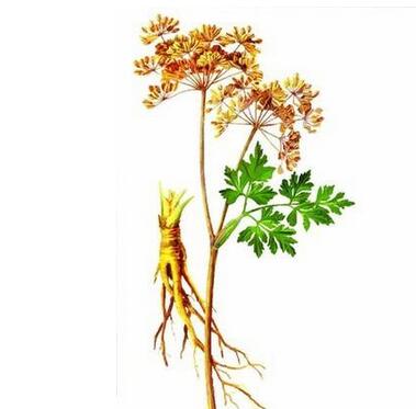 经期适合做皮肤护理吗,女性经期保健常识大全