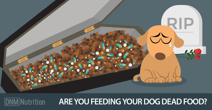 如何分辨真的狗粮和假的狗粮,现在的狗粮是真的吗