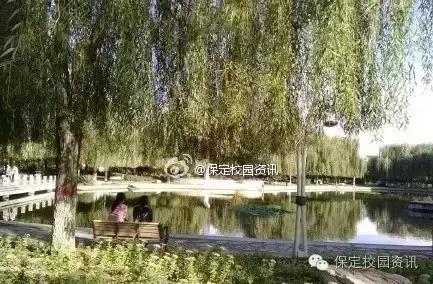 保定夏季“9所”最美大学校园