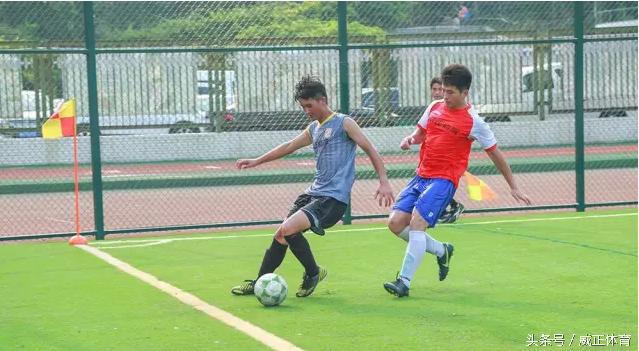 豫东之战商丘,商丘开封之战