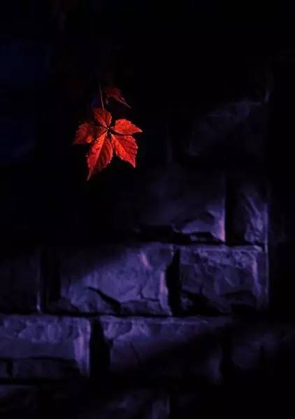 望月诗词鉴赏,秋夜诗词欣赏