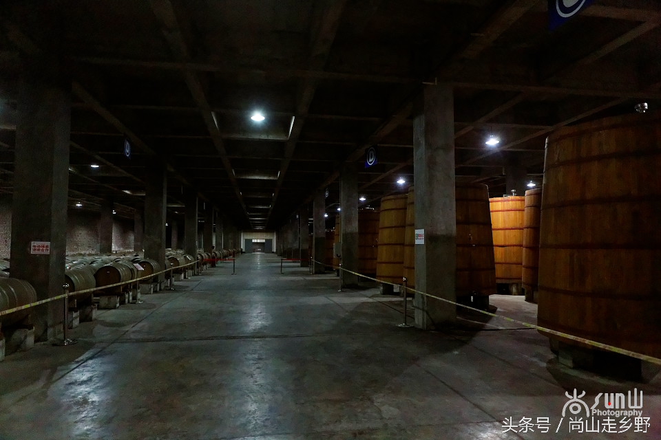 走进红酒庄园,走进葡萄庄园