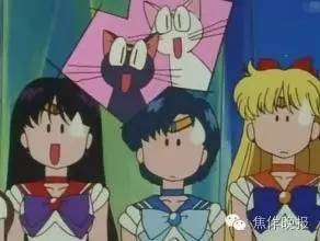 寻找人才最新招聘信息,失物招领启事大全