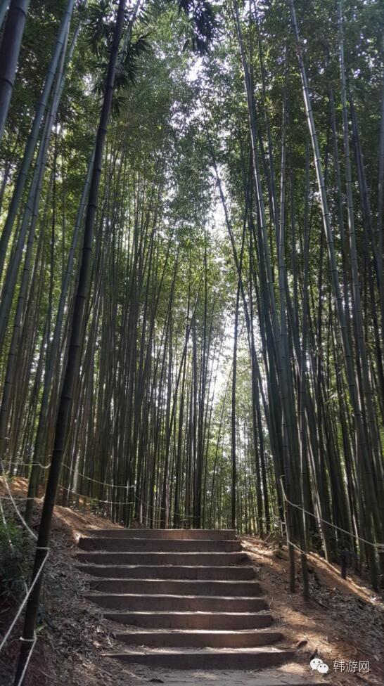 老司机的韩国南部深度游！老司机请带带我这才叫旅游！