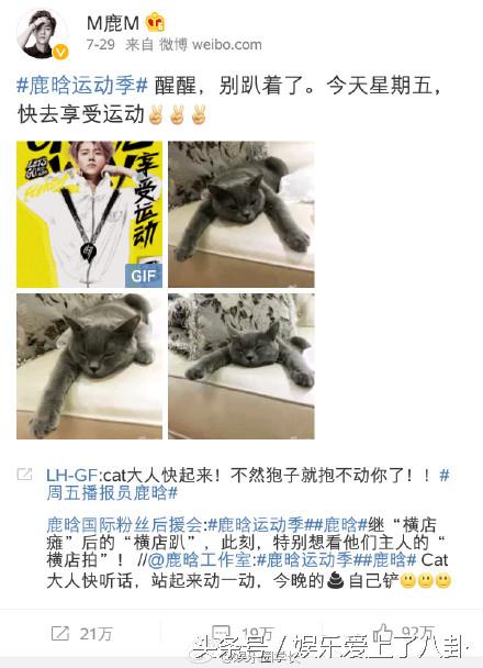 鹿晗和张继科的关系,张继科肖战鹿晗