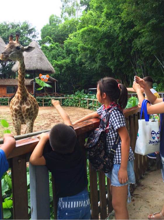 广州长隆怎么玩最划算旅游攻略,广州长隆怎样玩好玩