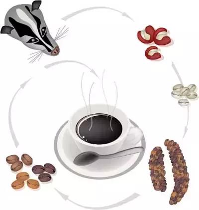 268元可以在巴厘岛landih买多少真正的猫屎咖啡豆？