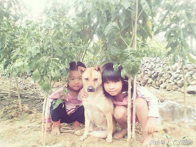 不穿鞋的原因竟然是？还好狗狗陪着你们我很放心