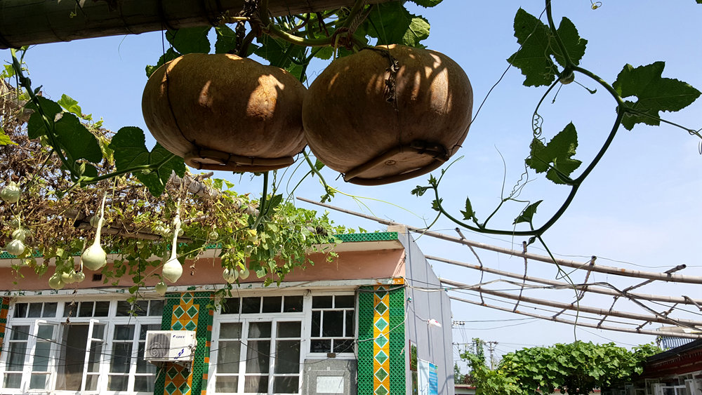 乐亭碧海渔家,乐亭碧海渔家怎么样