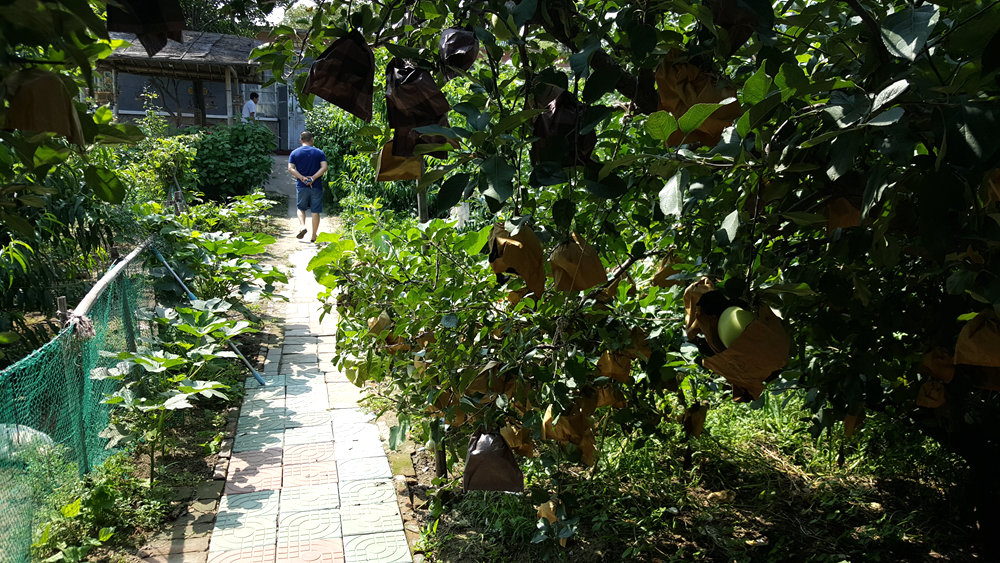 乐亭碧海渔家,乐亭碧海渔家怎么样