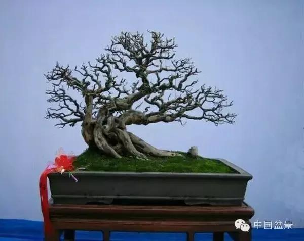 相识满天下知己有几人谁说的,相识满天下知己无一人出处