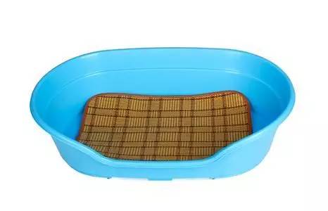 狗狗领回家多久可以训练呢,狗狗新手上路请多关照