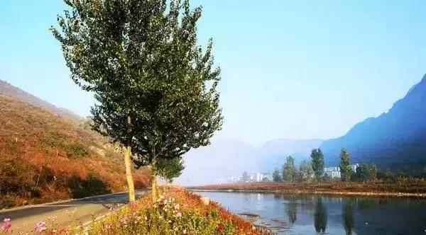 保定周边免费看红叶最佳旅游地点,保定周边一日游看红叶自驾游