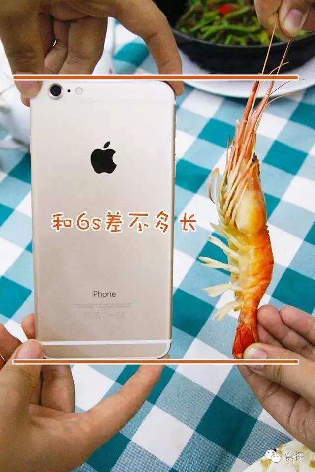 加班狗的自我安慰,加班狗精神食粮