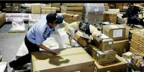 关于代购不知道的内幕,代购十大坑局揭秘