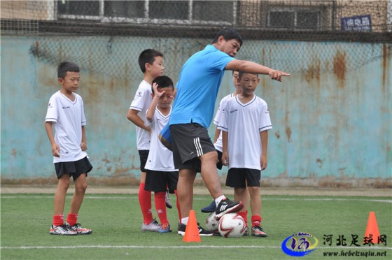 2016年河北省男子足球07/08年龄段足球夏令营现场图集