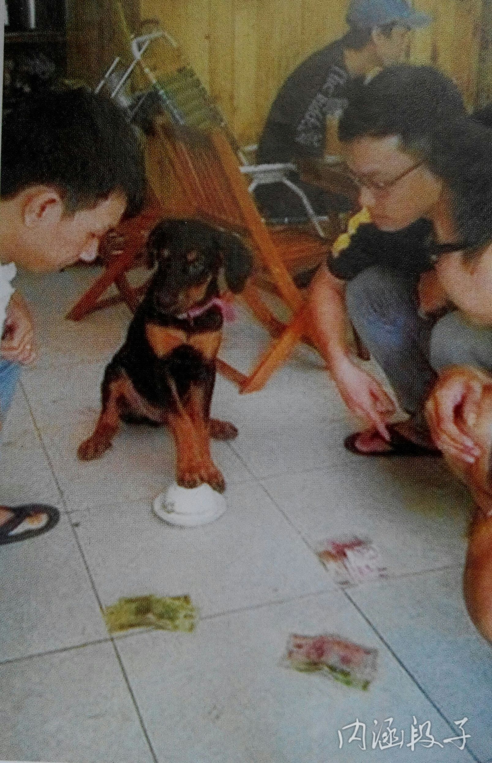 本山老师讲的什么,本山老师谈足球