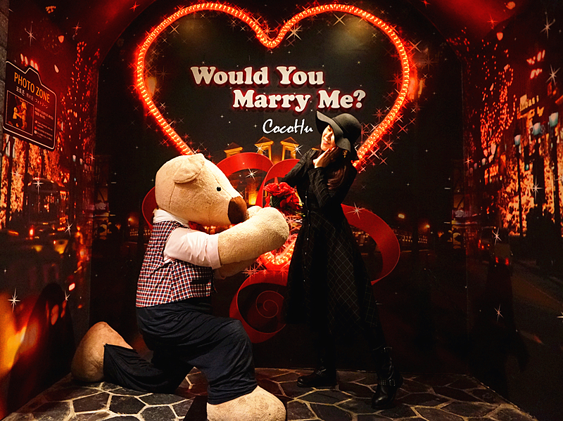 济州济州请留下一万个熊抱！