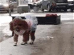 憋说话表情,憋说话