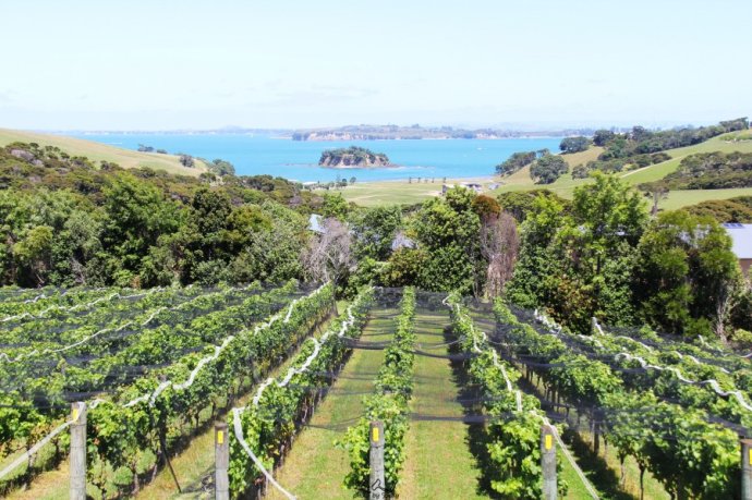 到怀希基岛,品酒-看海