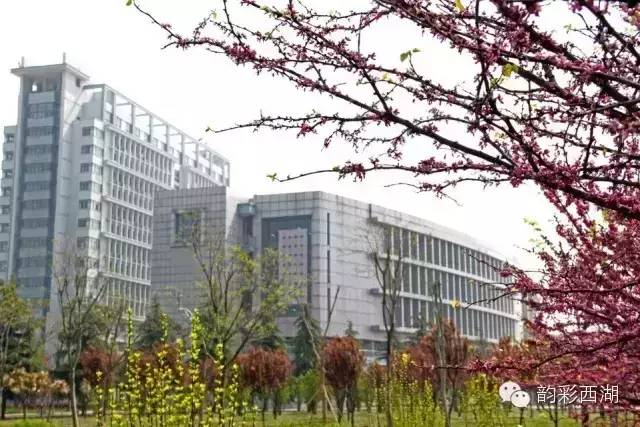 安徽合肥小幸运,小幸运大学生翻唱