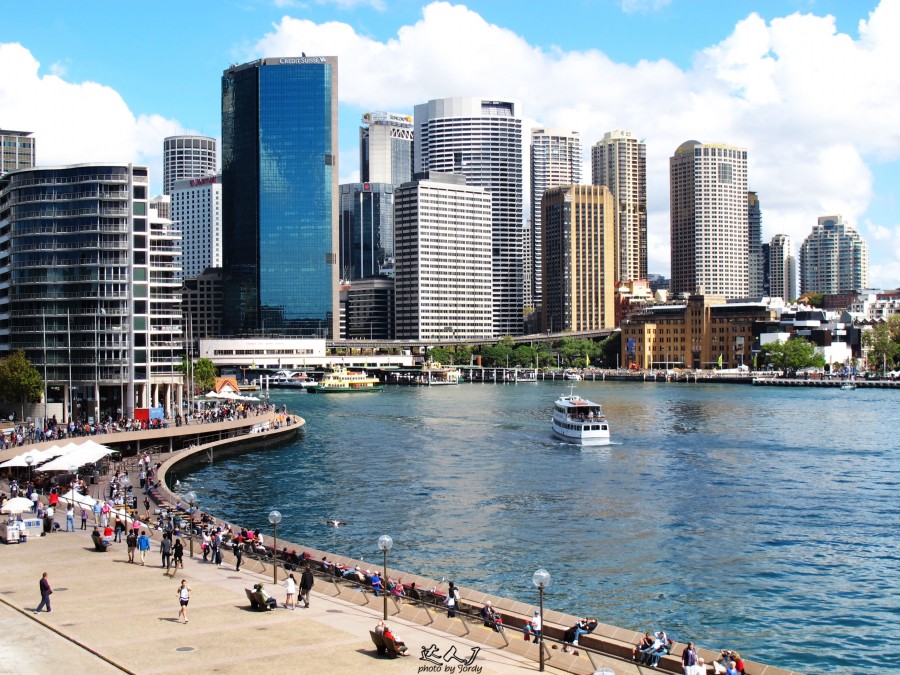 悉尼是啥味道,悉尼盐蚝