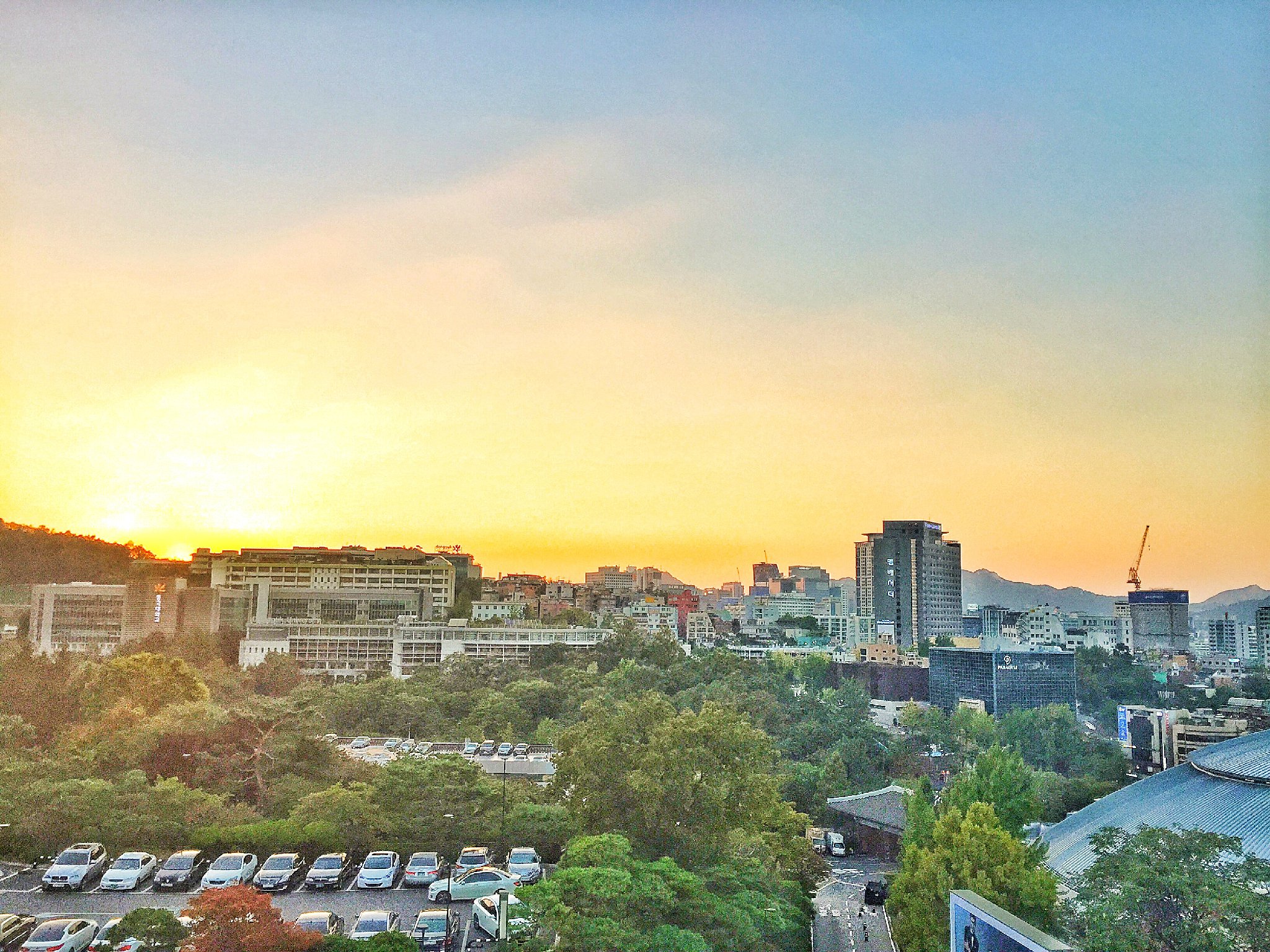 新罗免税店济州店攻略,新罗免税店有什么值得买的