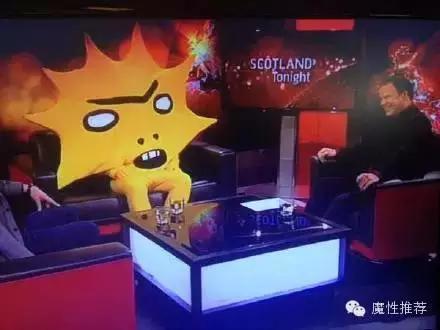 最丑争霸赛,最丑动物比赛