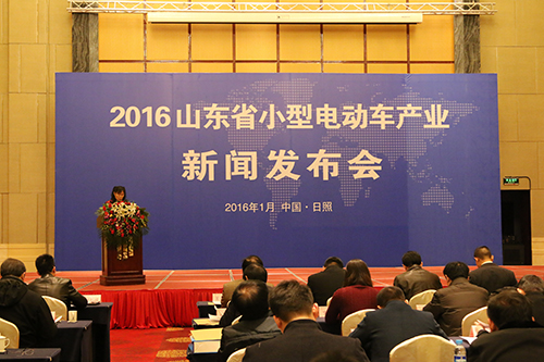 唐骏新能源低速代步车,唐骏低速电动