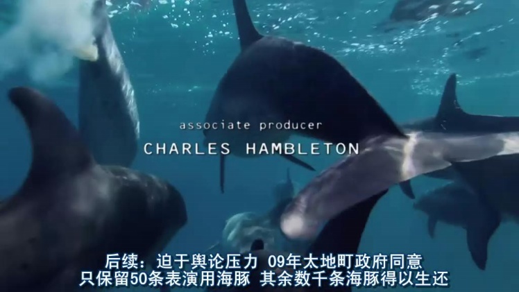 日本拒绝入境经历,日本海豚湾纪录片完整版