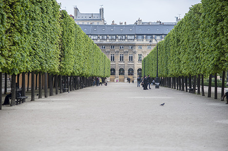巴黎皇宫内部,巴黎小皇宫和大皇宫