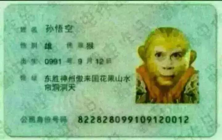 春晚猴哥最新视频,猴哥上春晚多大