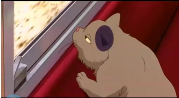 可爱动漫猫图片,十分可爱的动漫猫