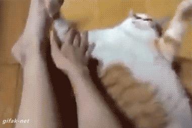 老坛酸菜用脚踩是什么工序,用我的脚踩过的老坛酸菜你会吃吗