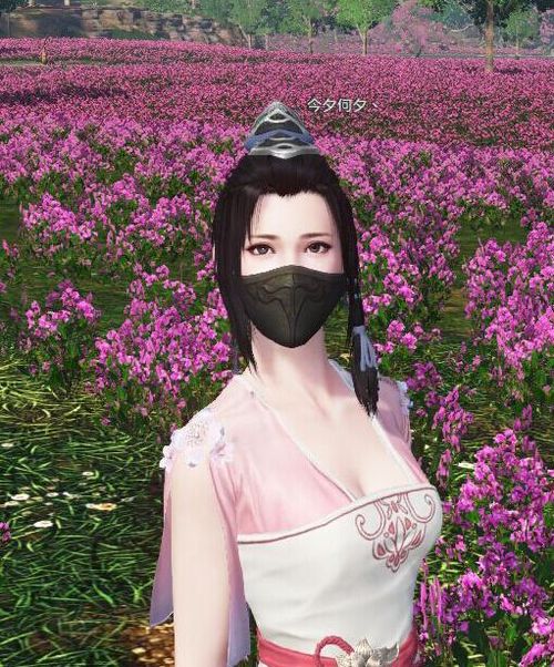 天涯明月刀节日福利,天涯明月刀通用礼包大全