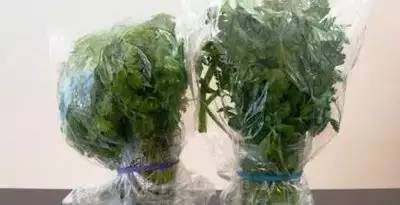 上海今夏高温已达42天,上海本周再现35℃高温天