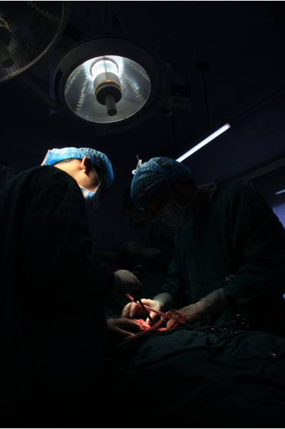 摄影大赛感动典藏,摄影大赛如沐春风