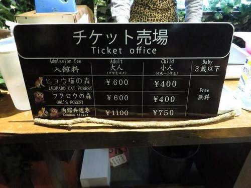 孟加拉猫主题咖啡馆,日本咖啡馆的猫咪