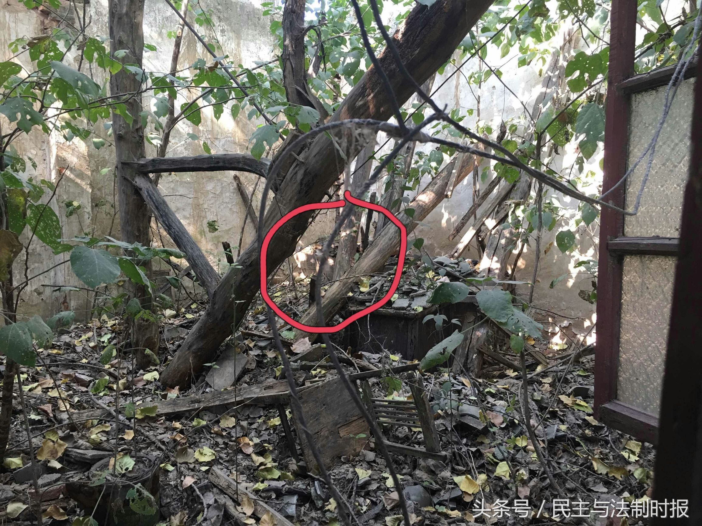 河南省平顶山市无名女尸案,平顶山掩埋尸体案