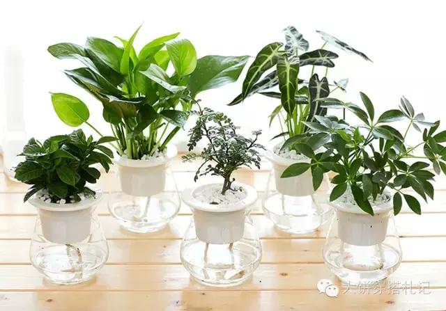 租房提升家居幸福感的小物件,租房实用的小物