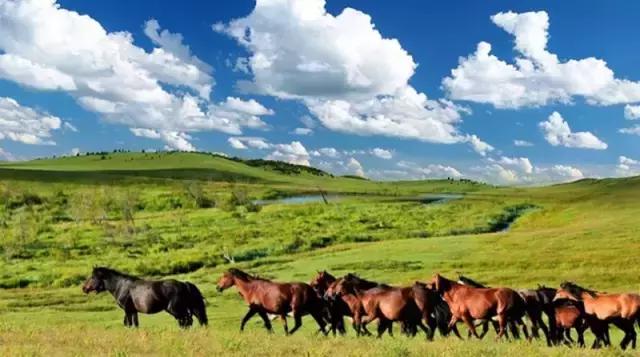 保定周边免费看红叶最佳旅游地点,保定周边一日游看红叶自驾游