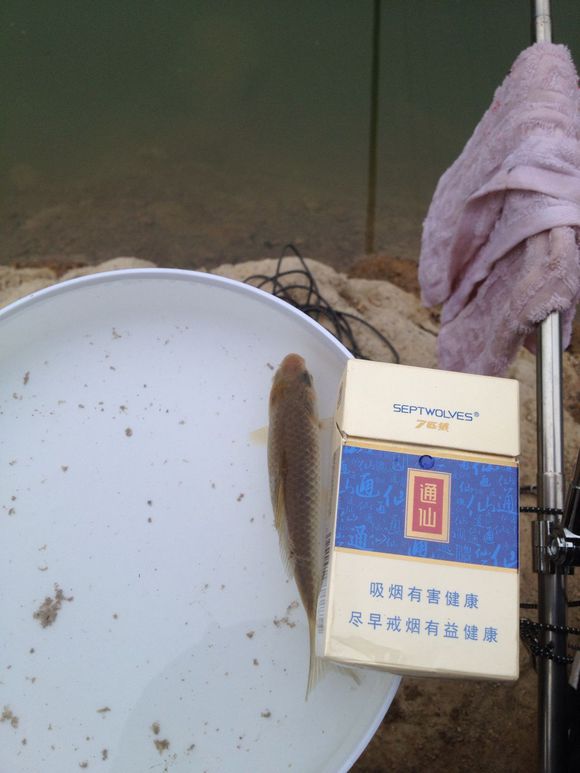 带小伙伴们去水库钓鱼,带大家一起去钓鱼